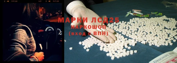хмурый Верея