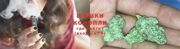 стаф Тавда