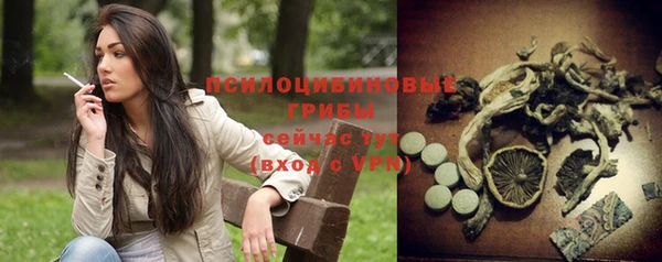прущие крисы Верхний Тагил