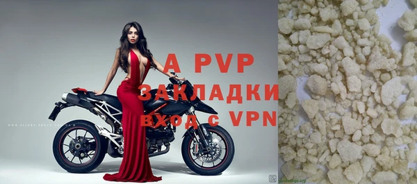 хмурый Верея
