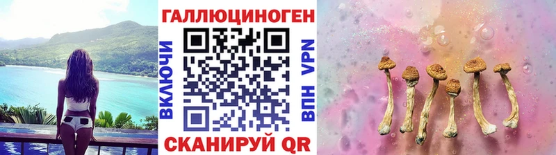 Псилоцибиновые грибы GOLDEN TEACHER  даркнет сайт  кракен маркетплейс  Новоржев 