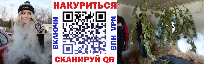 даркнет Telegram  Новоржев  Марихуана OG Kush 